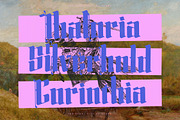 Silakins Blackletter Display, a Blackletter Font by timelesstype.co (Thumbnail 5 of 20)