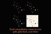 88 Star Constellations, an Illustration by Megs Lang (Thumbnail 7 of 12)