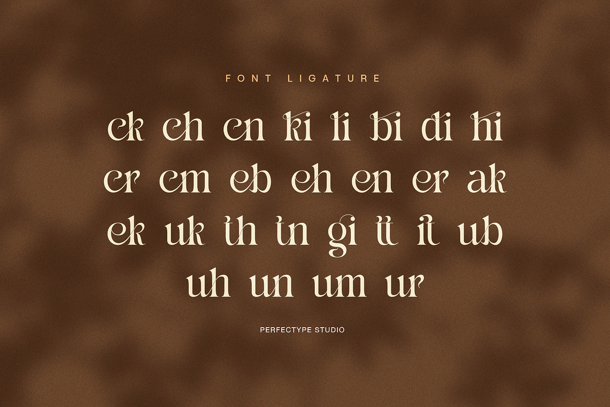 Suckira – Modern Elegant Serif Font, a Serif Font by Perfectype (Photo 8 of 8)