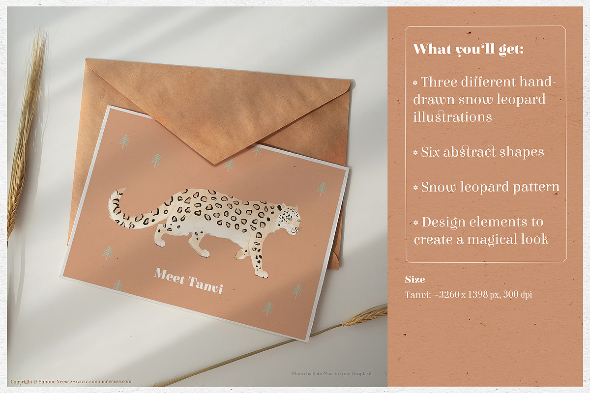 The Mysterious Snow Leopard, an Illustration by Drawn by Simone (Photo 2 of 8)