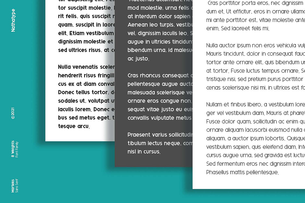 Marteks, a Sans Serif Font by Nathatype (Photo 6 of 10)