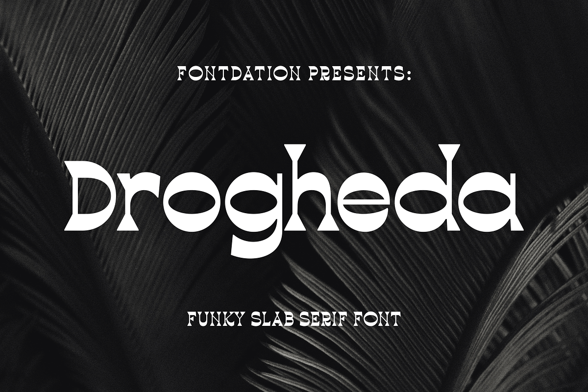 Drogheda | Funky Slab Serif Font, a Slab Serif Font by Twicolabs Fontdation (Photo 1 of 9)