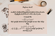 Popless script and serif font duo, a Serif Font by Ana's Fonts (Thumbnail 3 of 9)