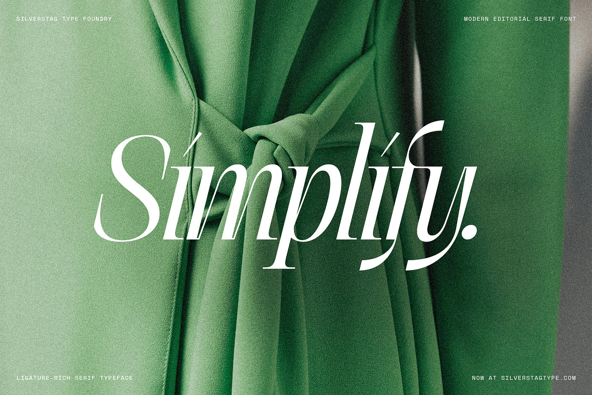 The Elfkin Editorial - Modern Serif, a Serif Font by SilverStag Type Foundry (Photo 4 of 20)