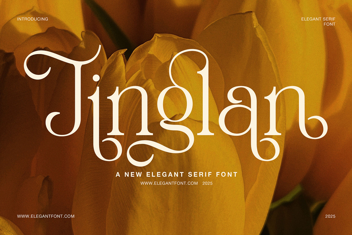 Jinglan Elegant Ligature Serif Font, a Serif Font by Elegant Font (Photo 1 of 8)