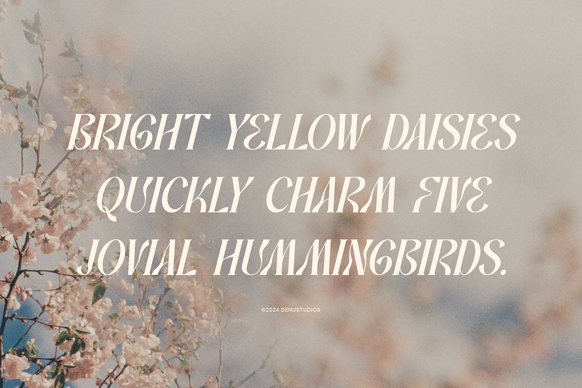 Promised Freyna Modern Display Serif, a Serif Font by Denustudios (Photo 3 of 13)