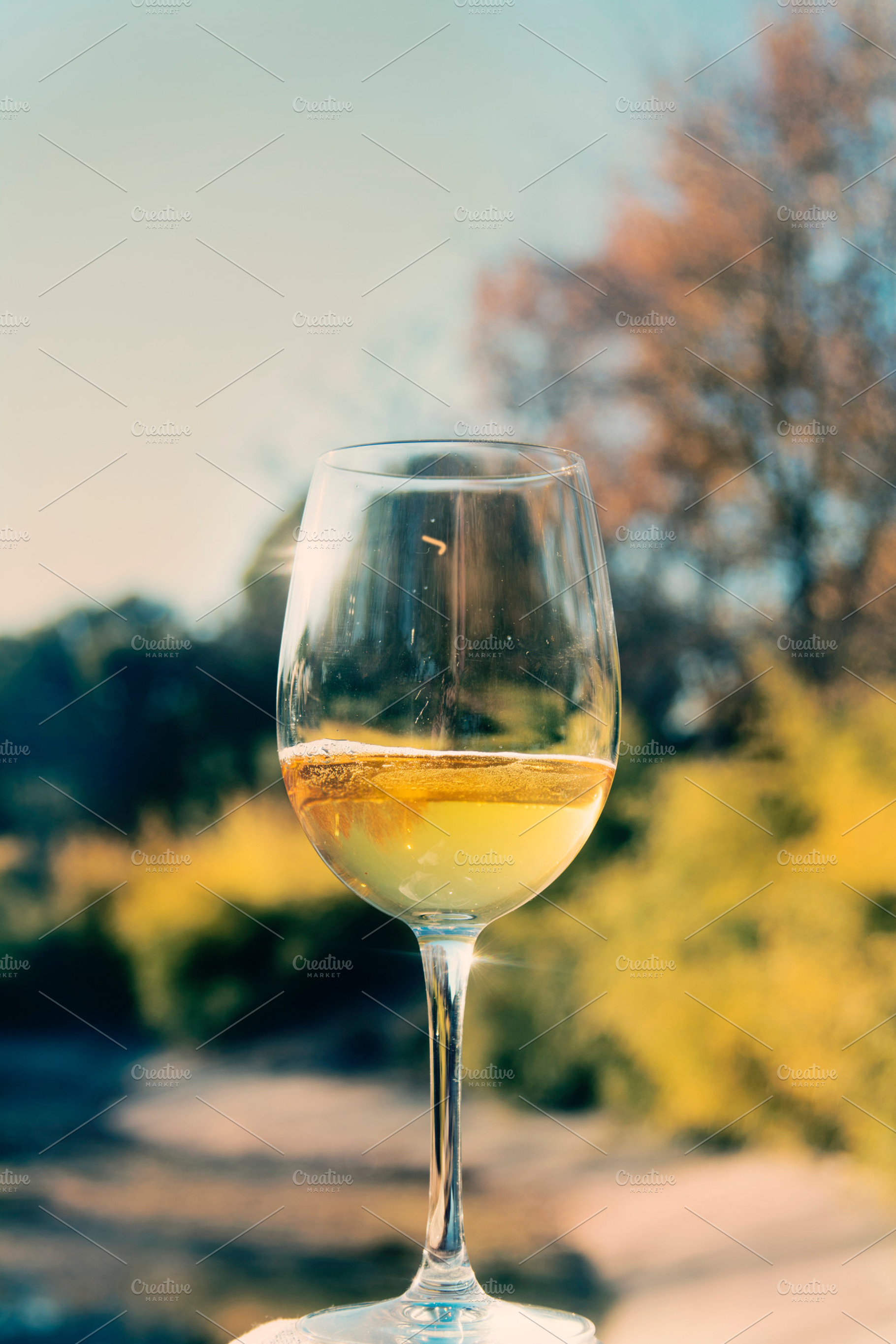 Glass of white wine wooded landscap stock photo containing wine and glass, a Food & Drink Photo by SZ IMAGE