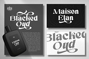 Silent Elegance - Clean Serif, a Serif Font by ErgibiStudio (Thumbnail 8 of 10)