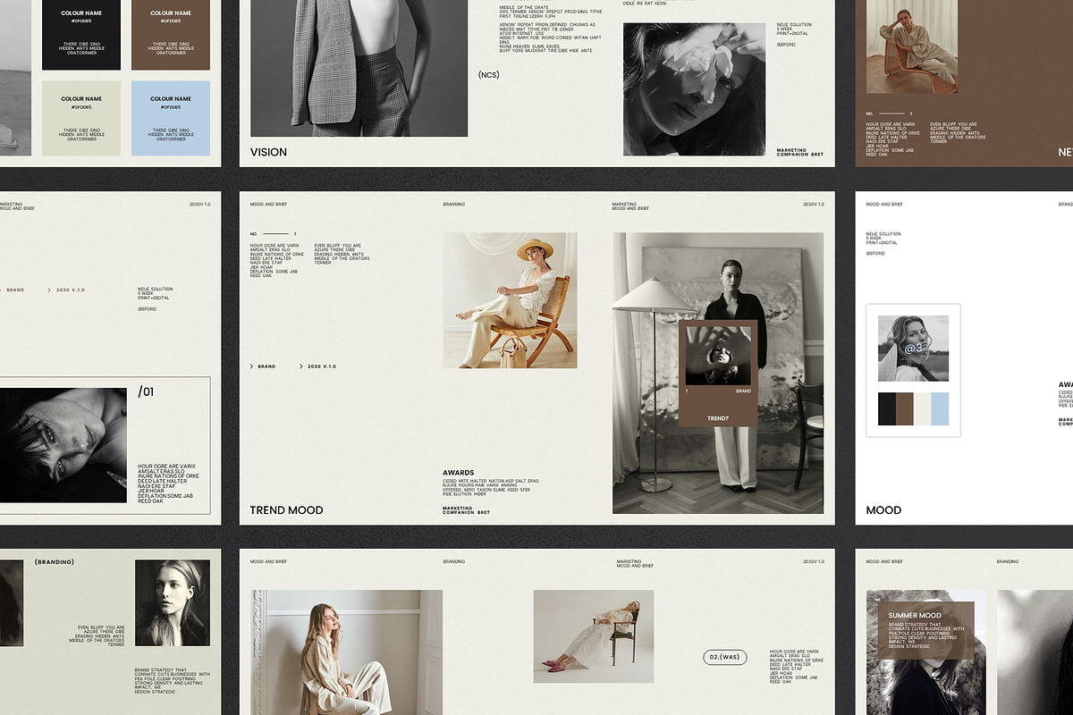 ROZA / Mood and Brief Presentation, a Presentation Template by Pradaxa (Photo 3 of 7)