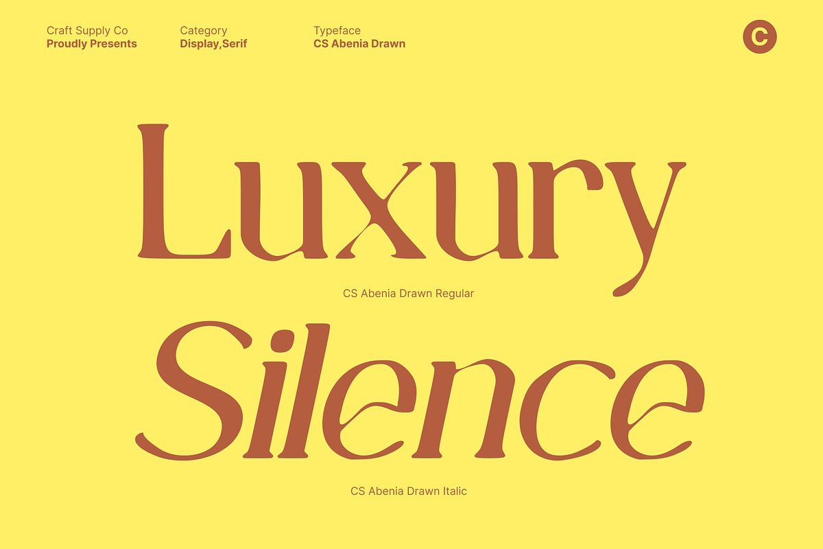 CS Abenia Drawn, a Serif Font by Craft Supply Co. (Photo 2 of 8)