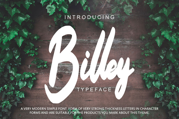 Billey - Handwritten Script preview 7