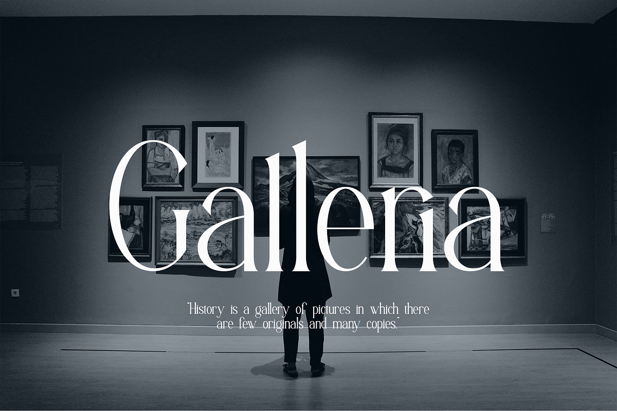 Aligin Serif - Modern Serif Font, a Serif Font by Idea Studio (Photo 6 of 12)