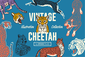 Vintage Cheetah Illustrations