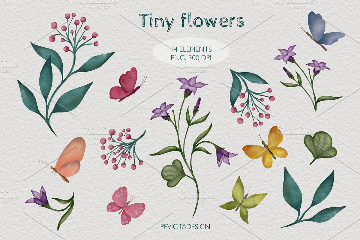 Tiny flowers, butterflies and leaves, a Seasonal Illustration by Peviotadesign (Photo 2 of 8)