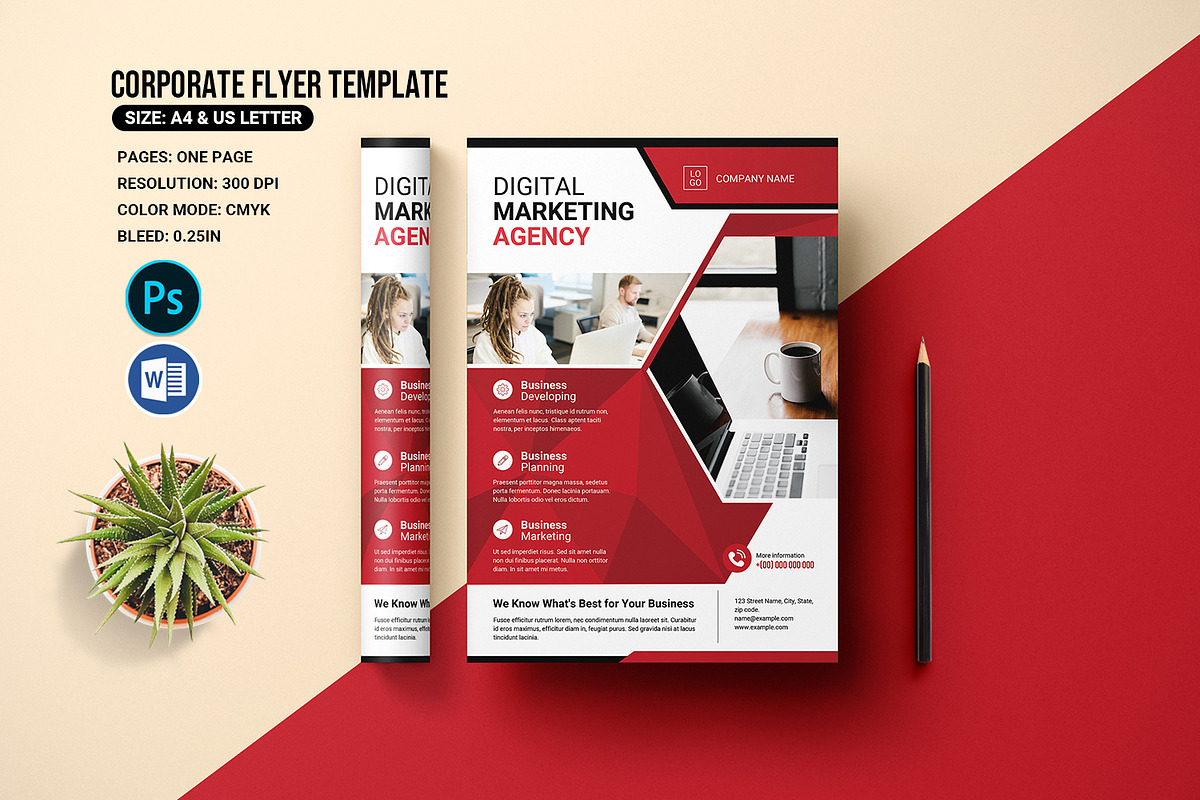 Business Flyer Template, a Flyer Template by retrographix (Photo 1 of 4)