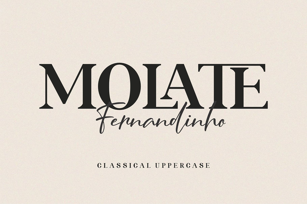 ROLATE Ligature Serif Typeface, a Serif Font by Alfinart (Photo 6 of 10)