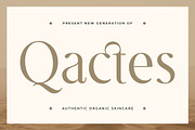 Le Saint Clair - Beauty Nostalgic, a Serif Font by Typia Nesia (Thumbnail 6 of 12)