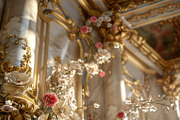 62 Rococo patterns, an Architecture Photo by Handmadefont (Thumbnail 46 of 65)