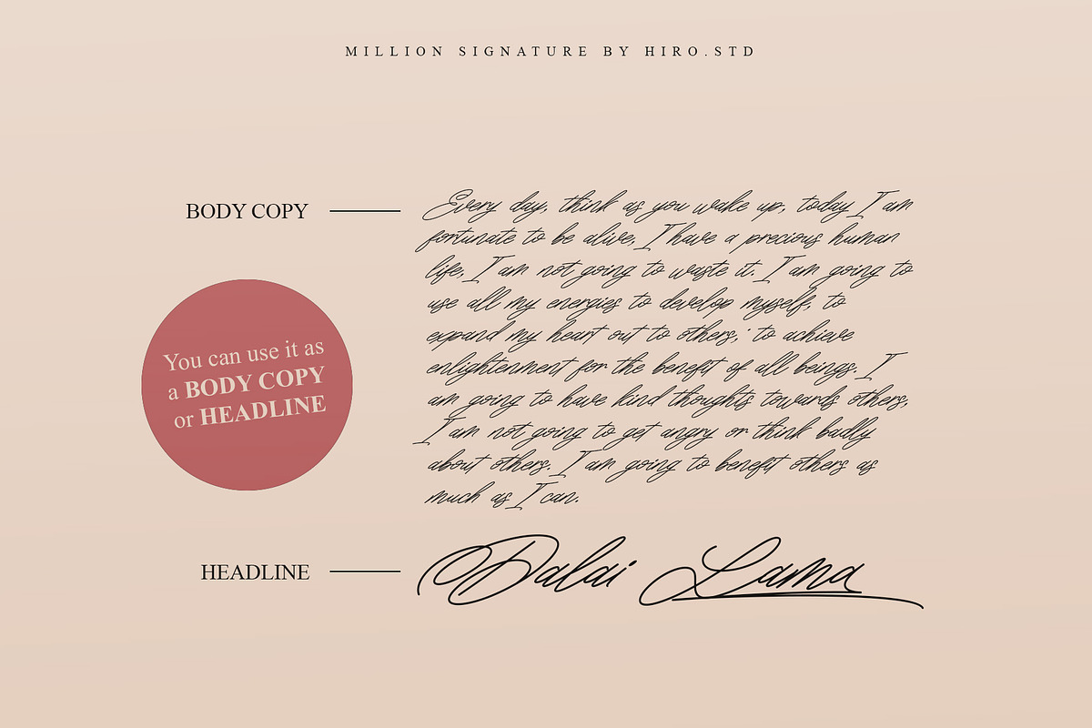 Million Signatures Font, a Script Font by HIRO.std (Photo 2 of 10)