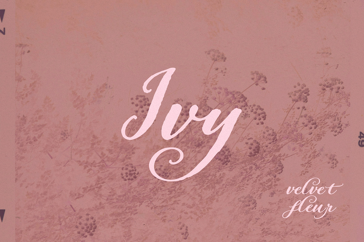 Velvet Fleur - Elegant Script Font, a Script Font by Mneme (Photo 6 of 11)