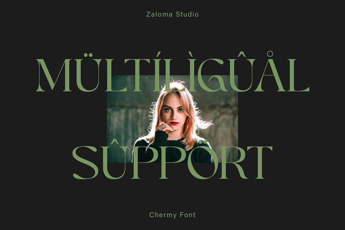 Chermy, a Serif Font by Zaloma Studio (Photo 14 of 17)