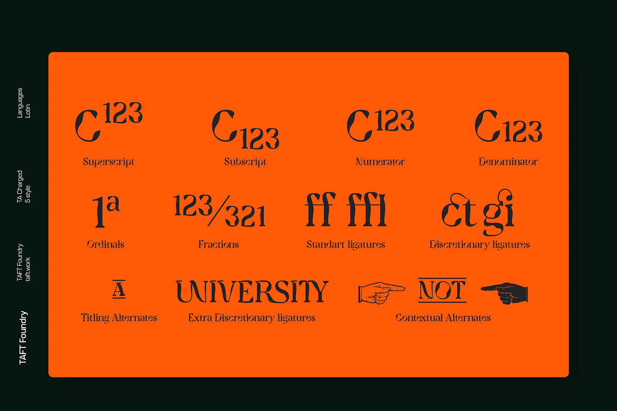 TA Charged, a Serif Font by TAFT Foundry (Photo 10 of 19)