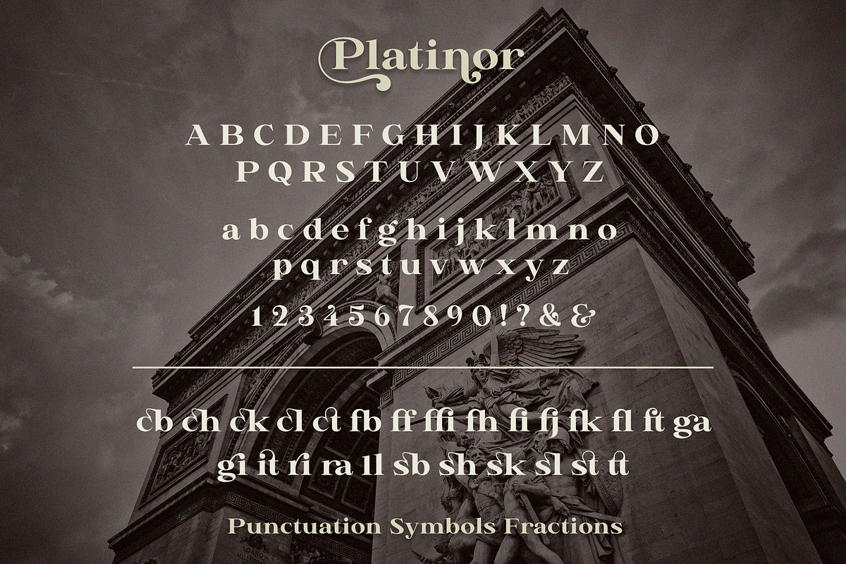 Platinor, a Serif Font by Larin Type Co. (Photo 12 of 13)