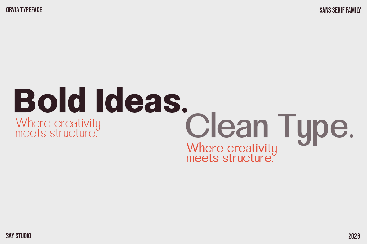 Orvia - Family Sans Serif Typeface, a Serif Font by Say Studio (Photo 6 of 12)
