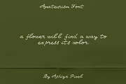 Amateurism Vintage Cursive Font, a Script Font by Ashiya Pixel (Thumbnail 4 of 7)