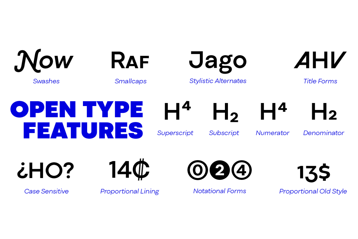 Codec Pro 22 fonts + 1 variable, a Sans Serif Font by Zetafonts