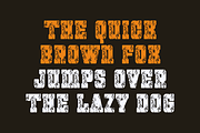 Brand Valdy - Vintage Font, a Slab Serif Font by Viswal Studio (Thumbnail 5 of 8)