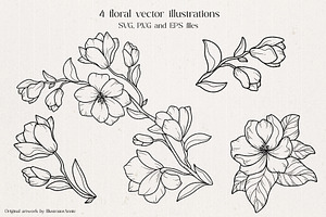 Magnolia Flower Vector Illustration