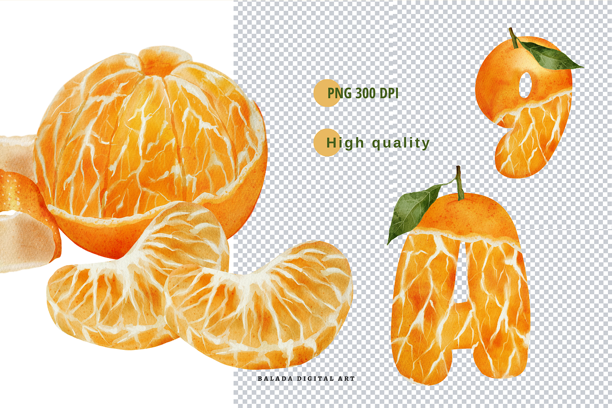 Watercolor Orange Fruit Clipart PNG, a Food Illustration by Balada Digital Art (Photo 4 of 6)