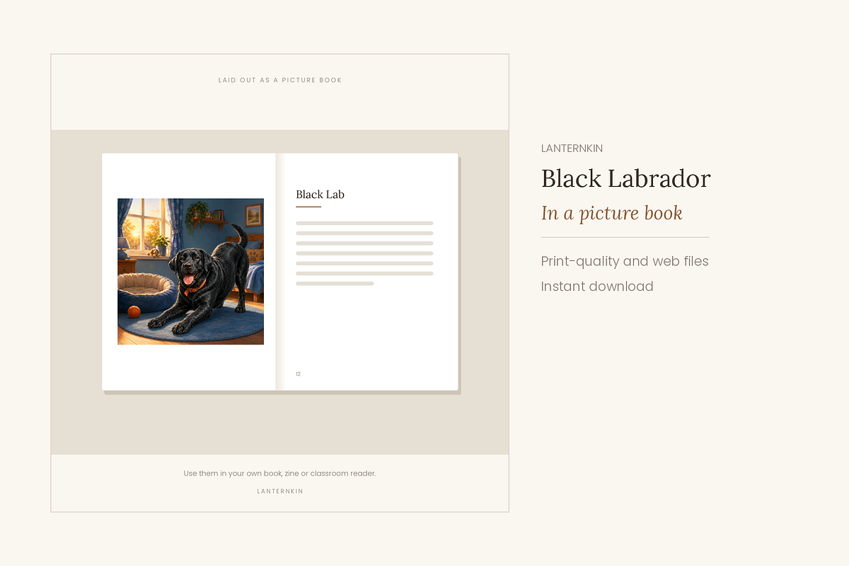 Black Labrador Illustrations, 30, an Animal Illustration by LanternkinStudio (Photo 3 of 14)