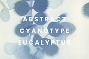 Blue Eucalyptus Cyanotype Textures, a Background Graphic by Take Care Creative (Thumbnail 1 of 6)