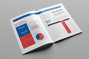 Annual Report, a Brochure Template by Pro-Gh (Thumbnail 13 of 14)