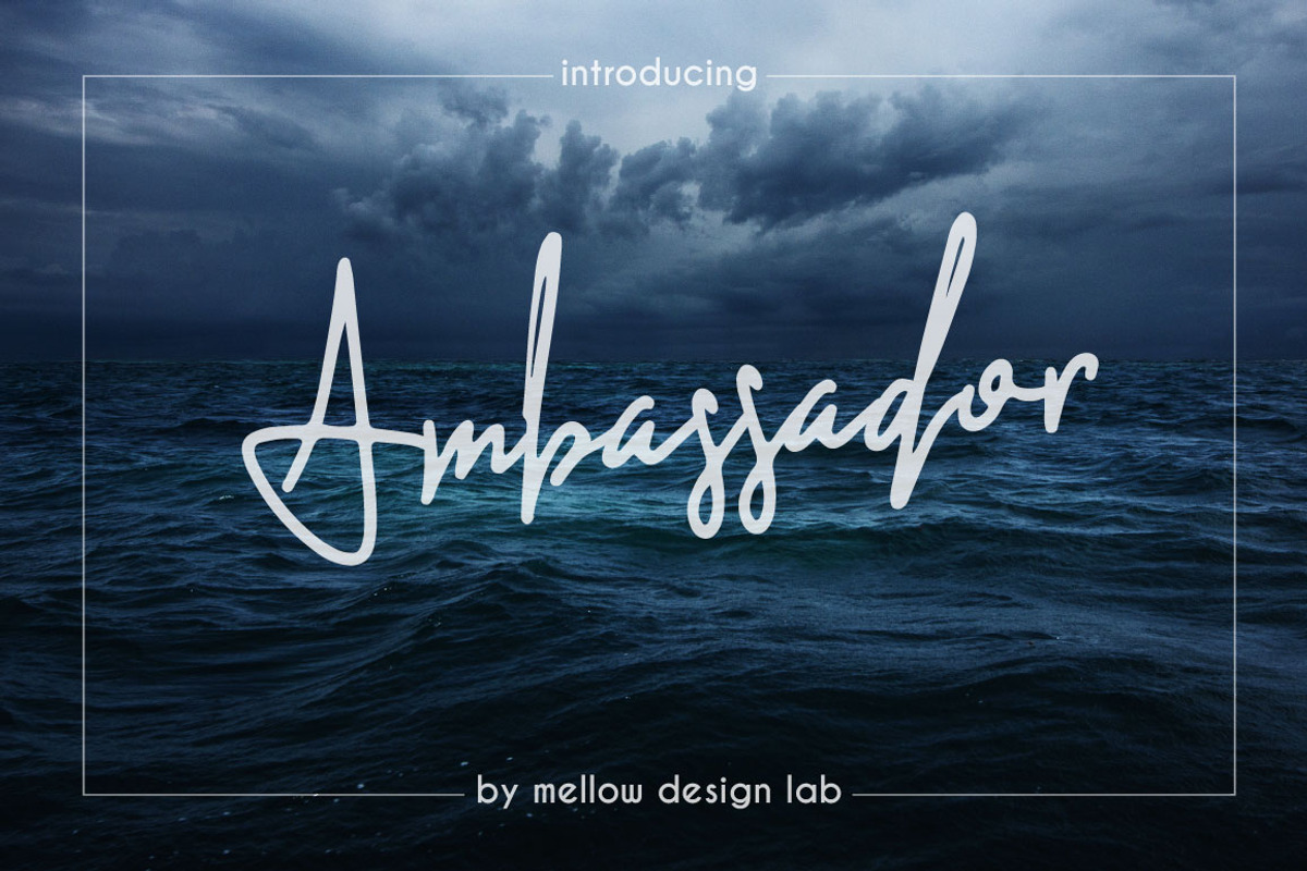 Ambassador