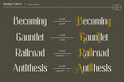 Granity, a Sans Serif Font by Nathatype (Thumbnail 8 of 10)