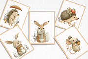 Cute Woodland Animal Clipart, an Illustration by DreamArtGraphic (Thumbnail 8 of 8)