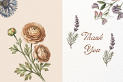Vintage Botanical Flowers, a Decorative Illustration by youtoview (Thumbnail 14 of 14)