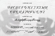 Gladiesk Poetriea, a Script Font by Integritype Studio (Thumbnail 5 of 15)