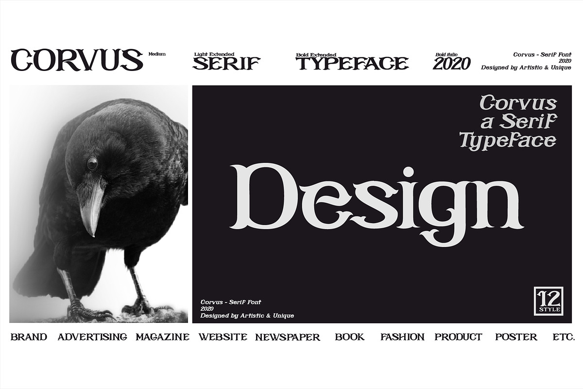 CORVUS Serif font, a Serif Font by Artistic & Unique (Photo 13 of 15)