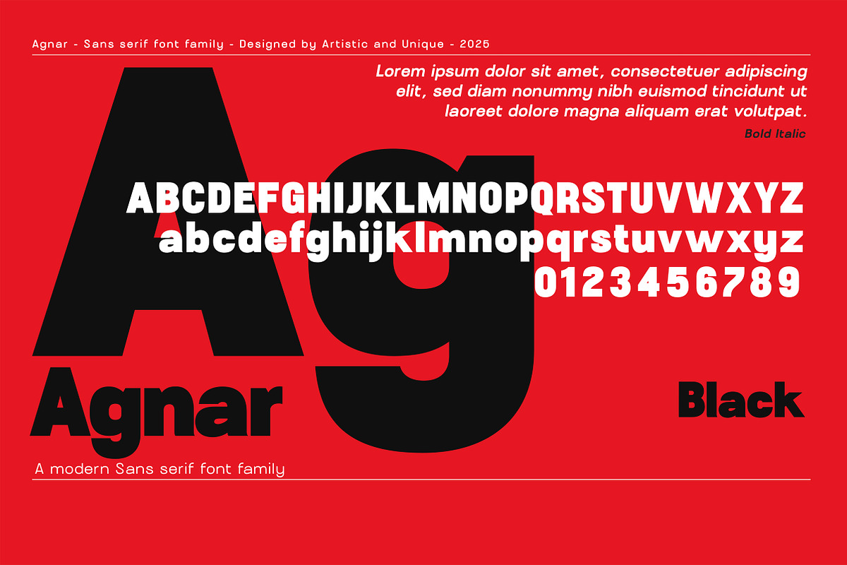 Agnar - Sans serif font family, a Font by Artistic & Unique (Photo 4 of 14)