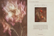Lull · Brown Botanical Autumn Series, a Background Graphic by alonahaidash (Thumbnail 2 of 16)