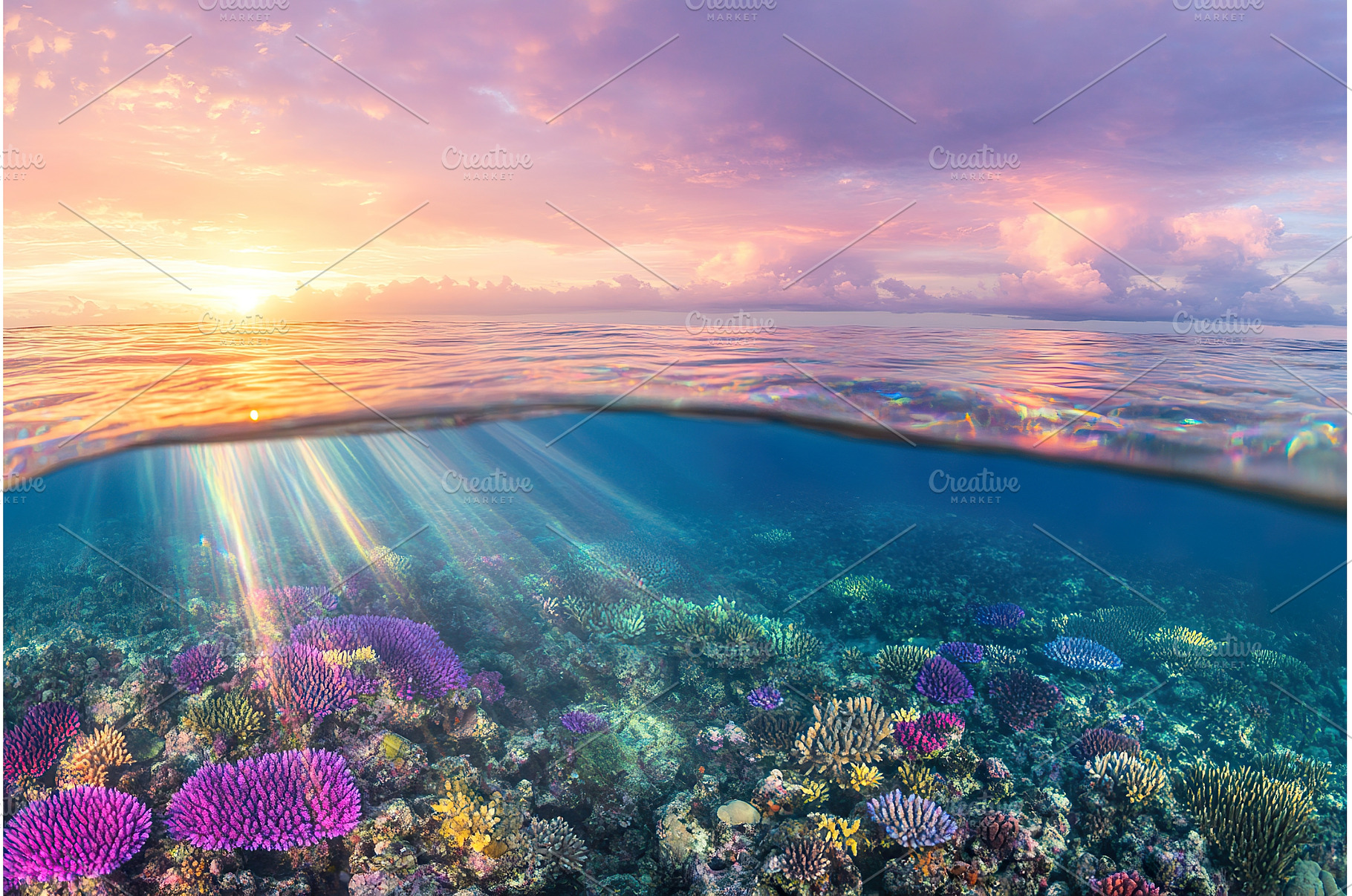 Stunning sunset over vibrant coral, a Nature Photo by Lermont51