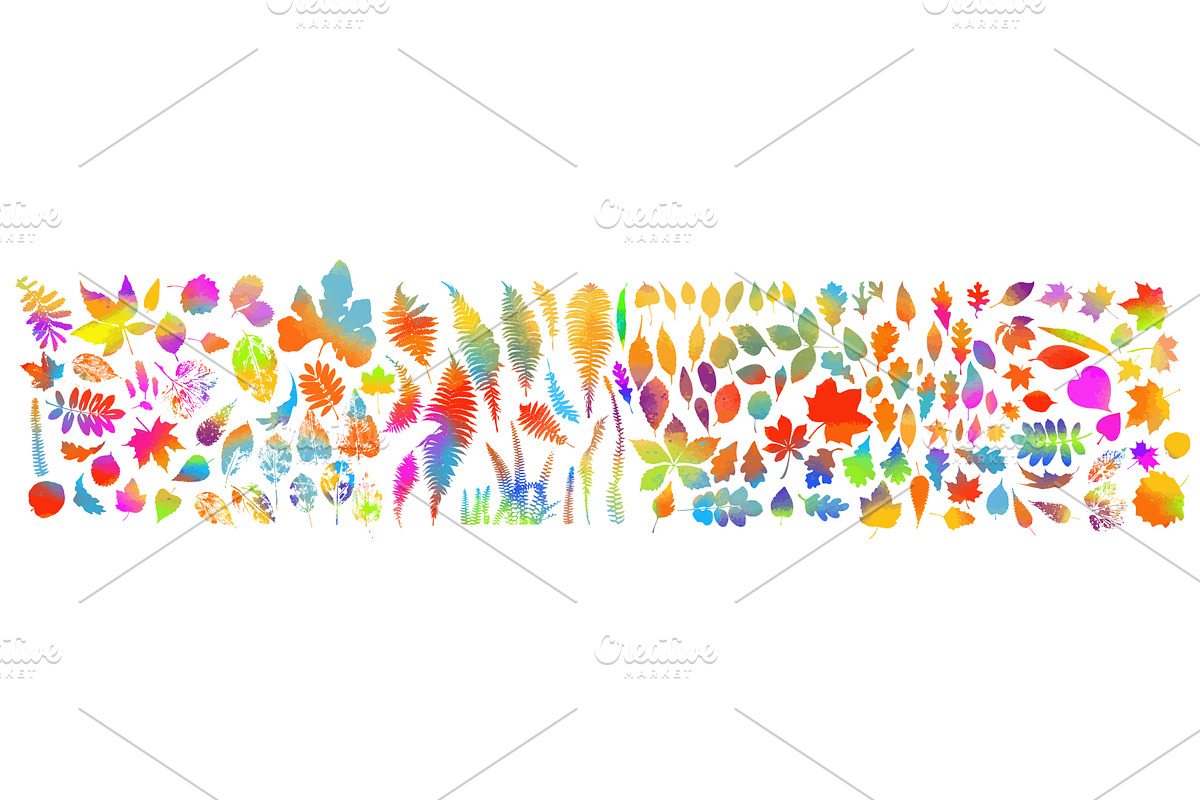 Set of colored leaves of different, an Object Illustration by Nenahliadava Design