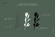 Olive Branches & Botanical Patterns, a Decorative Illustration by Pigment Café (Thumbnail 7 of 10)