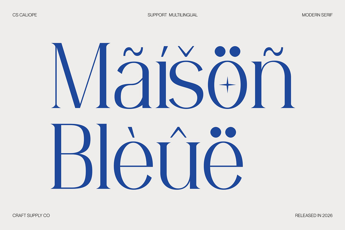 CS Caliope – Aesthetic Font, a Serif Font by Craft Supply Co. (Photo 5 of 8)