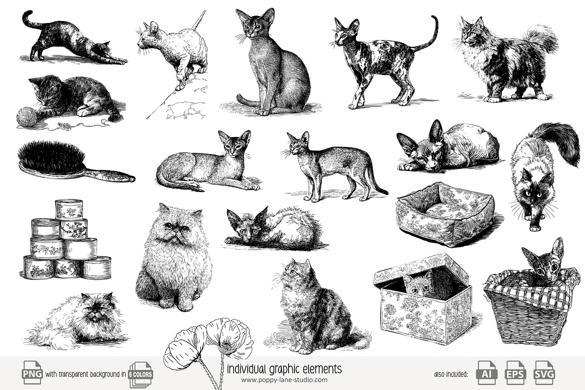 95 line art Cats clip art, an Animal Illustration by Poppy Lane Studio (Photo 6 of 12)
