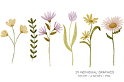 Watercolor Wild Flower Clipart, a Decorative Illustration by Murphy & Frank (Thumbnail 4 of 9)